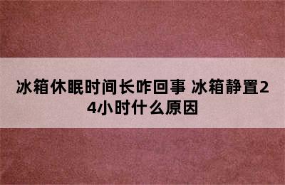 冰箱休眠时间长咋回事 冰箱静置24小时什么原因